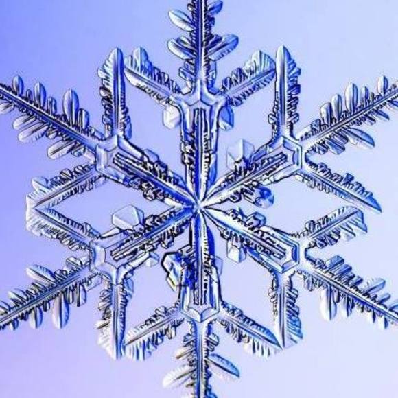 Meet your Posher, Gale - Picture 1 of 1